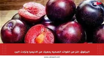 البرقوق: كنز من الفوائد الصحية يحميك من الأنيميا ونزلات البرد